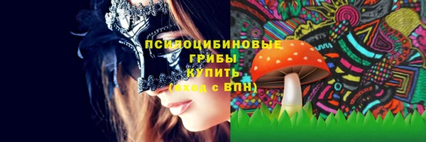 mix Пестово