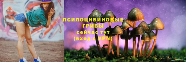 mix Пестово
