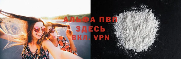 СК Пересвет