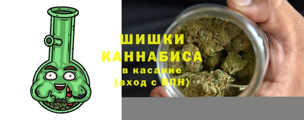 СК Пересвет