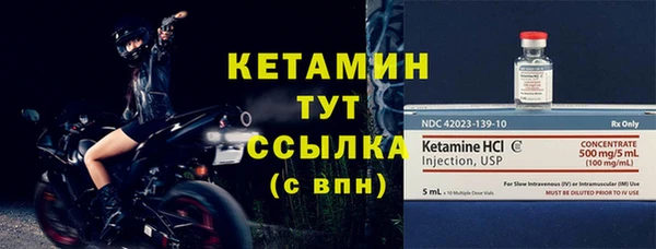 СК Пересвет
