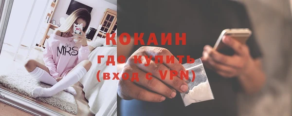 СК Пересвет