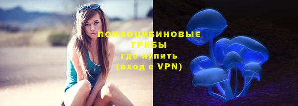 СК Пересвет