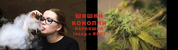 СК Пересвет