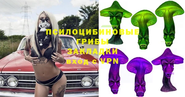 СК Пересвет