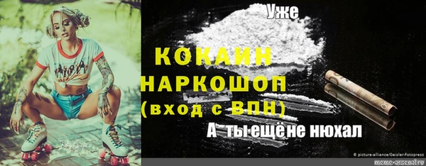 mix Пестово