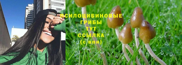 mix Пестово