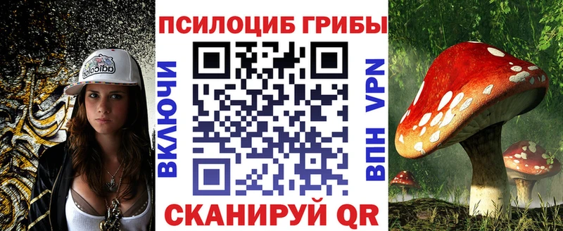 мега зеркало  Большой Камень  Галлюциногенные грибы ЛСД 