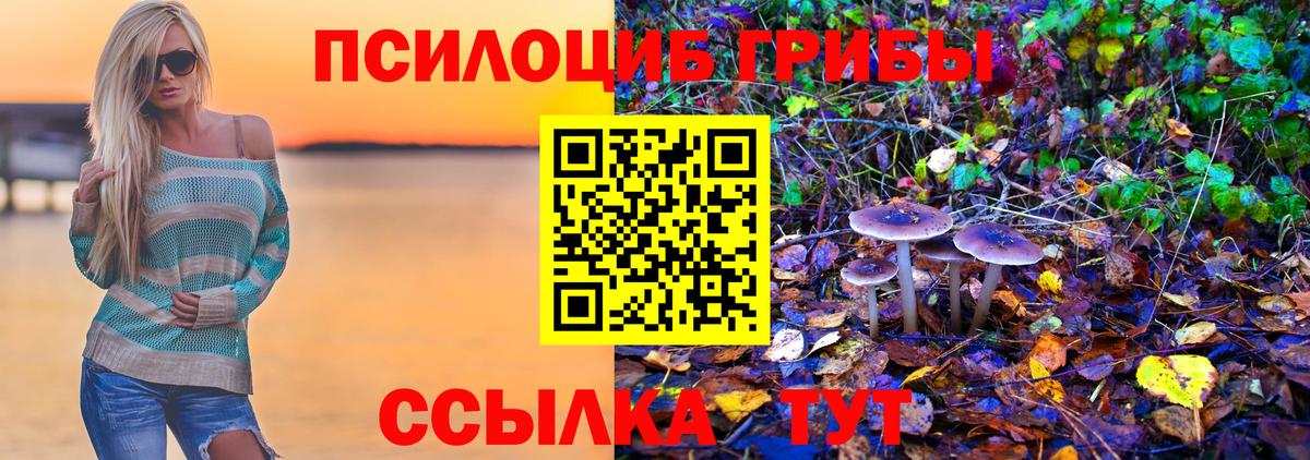 Большой Камень  Псилоцибиновые грибы Cubensis  Вход с VPN 